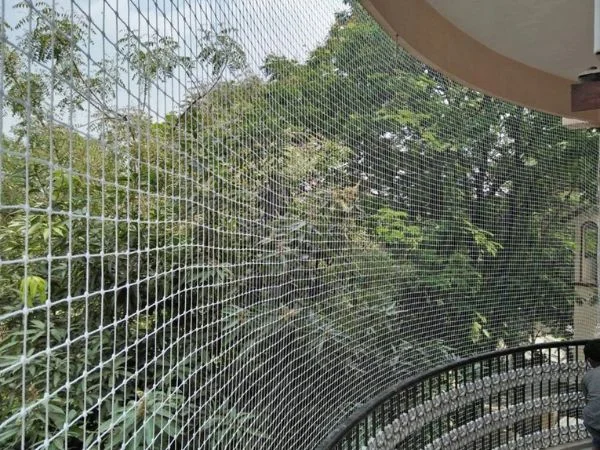 Pigeon Safety Nets in Bangalore