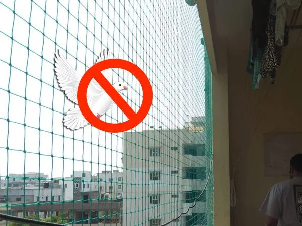 Pigeon Nets Fixing Cost in Bangalore