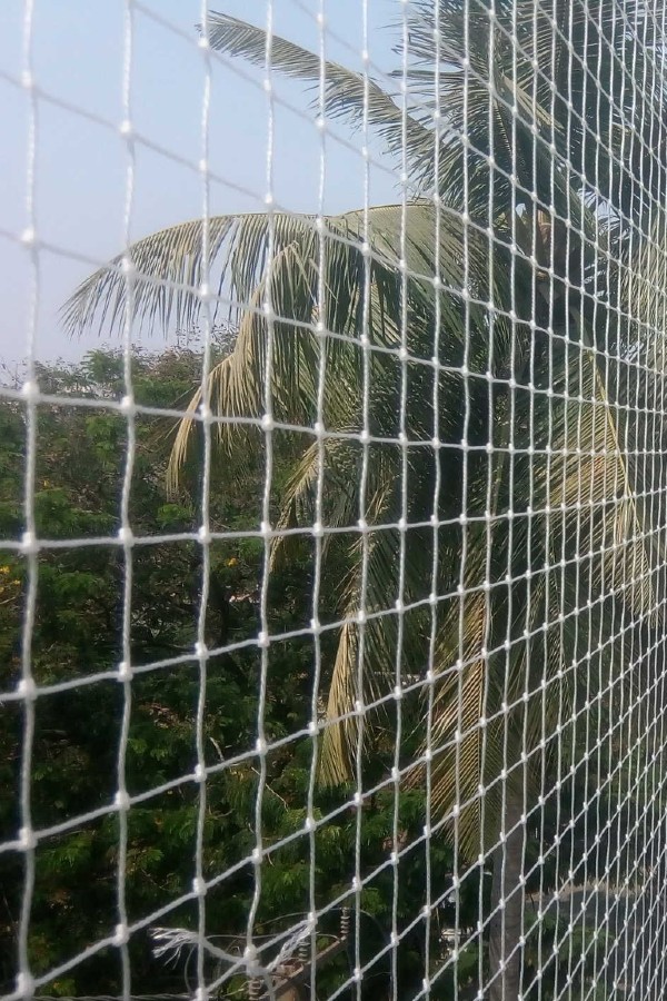 Pigeon Nets Installation Near Me in Bangalore